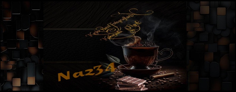 NAZ34 TEMA RADYOKANKA