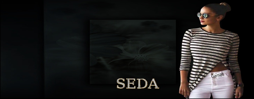 SEDA TEMA RADYOKANKA