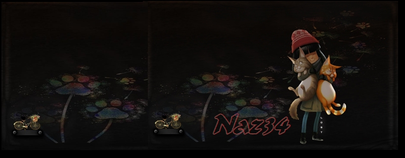 NAZ34 TEMA RADYOKANKA